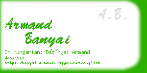 armand banyai business card